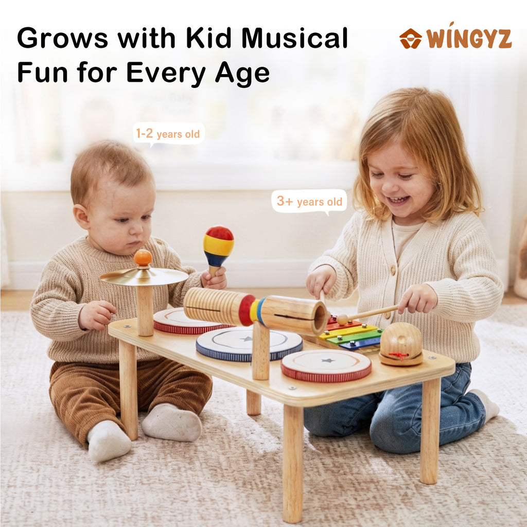 WINYGZ 9-in-1 Baby Drum Set